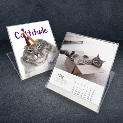 CD Calendar